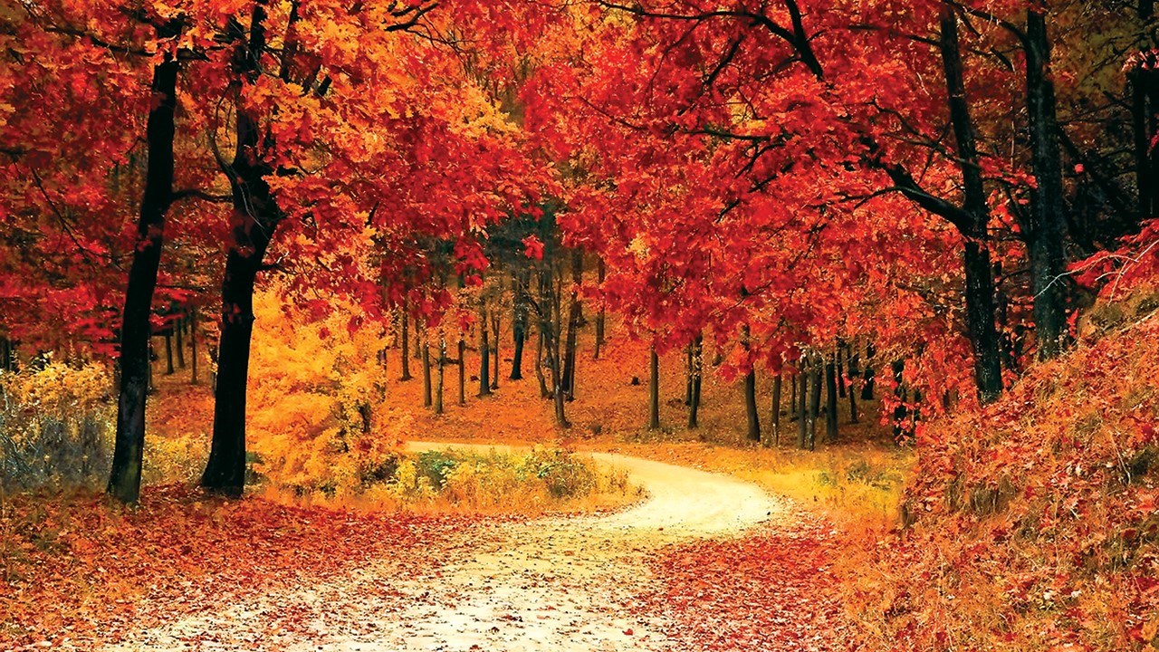 توقعات حالة الطقس اليوم الأربعاء 26 نوفمبر 2025 في مصر.. أجواء خريفية مع احتمال هطول أمطار خفيفة