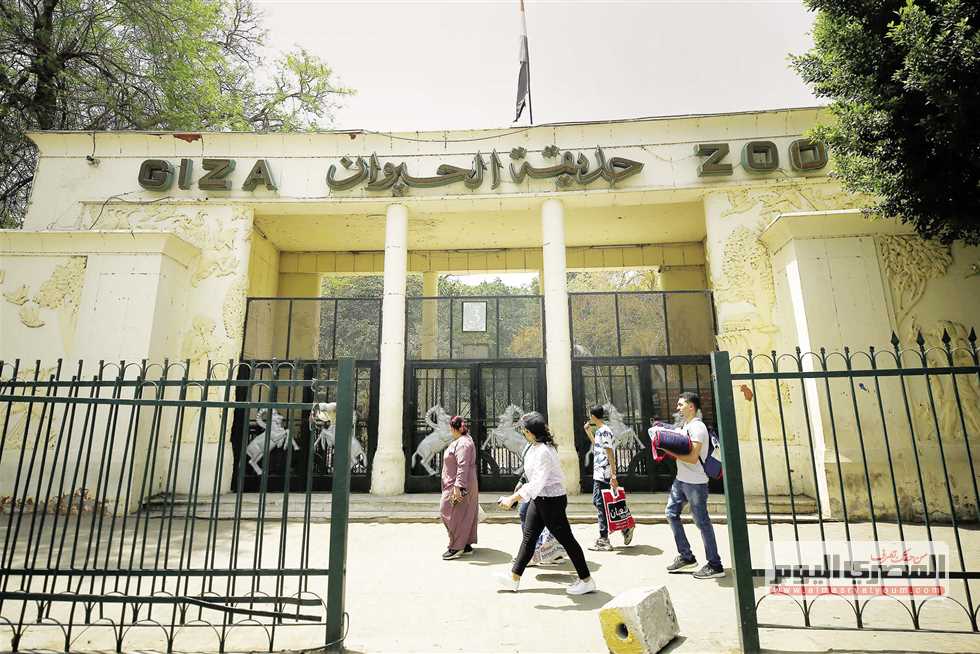 موعد بدء تشغيل حديقة الحيوان بالجيزة بعد التجديدات 2026