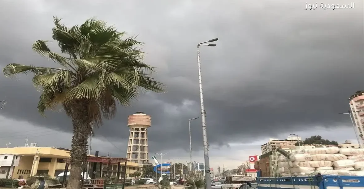 الأرصاد الجوية تحذر من انخفاض الحرارة والشبورة والرياح حتى الأربعاء
