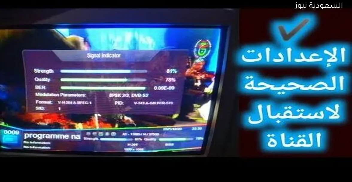 لماذا لا تعمل الجزائرية الأرضية؟ الأسباب والحلول المتاحة