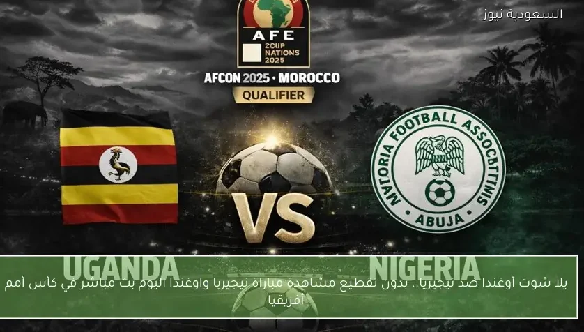 صعود وصدارة للنسور.. نتيجة مباراة نيجيريا واوغندا في كأس أمم أفريقيا