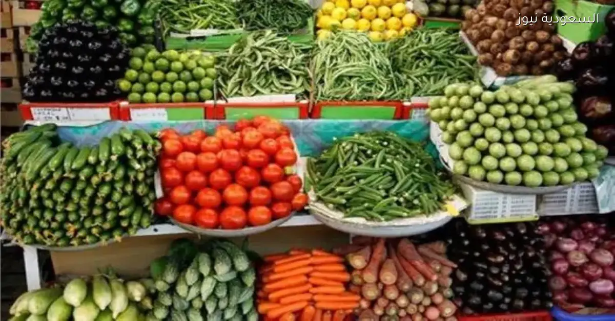 أسعار الخضار اليوم: الكوسة بـ 10 جنيه فقط في الأسواق المصرية