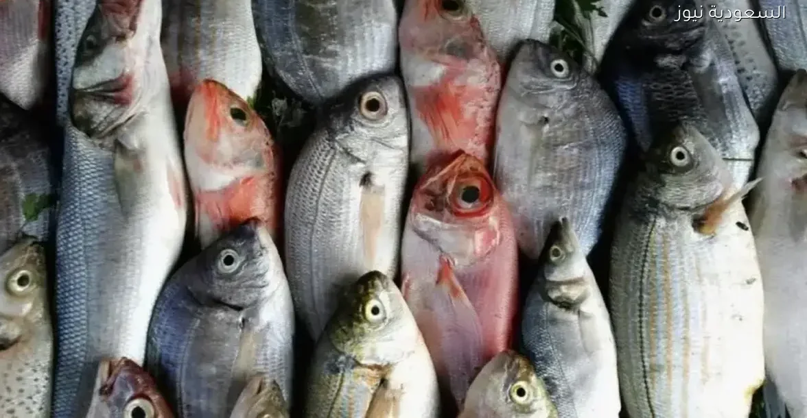 أسعار السمك اليوم الإثنين 2025 بعد استقرار الأسواق: تعرف على التفاصيل