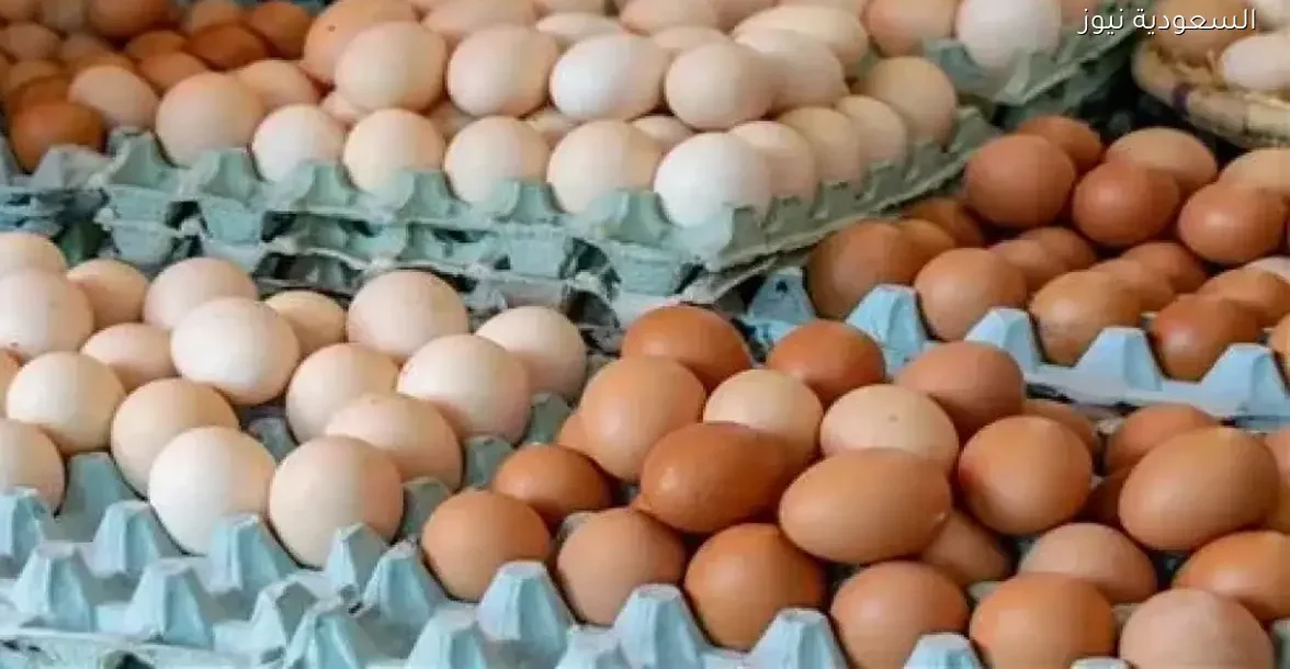 أسعار كرتونة البيض الأبيض والأحمر في مصر اليوم 20 ديسمبر 2025