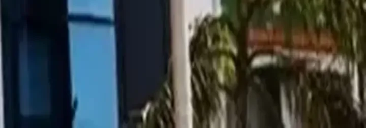 أفضل شهادات البنك الأهلي المصري 2025 قبل أي خفض محتمل للفائدة