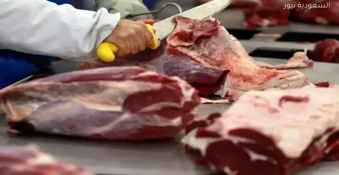 أفضل قطعيات عِرق الفلتو والموزة وأسعارها في سوق الاثنين