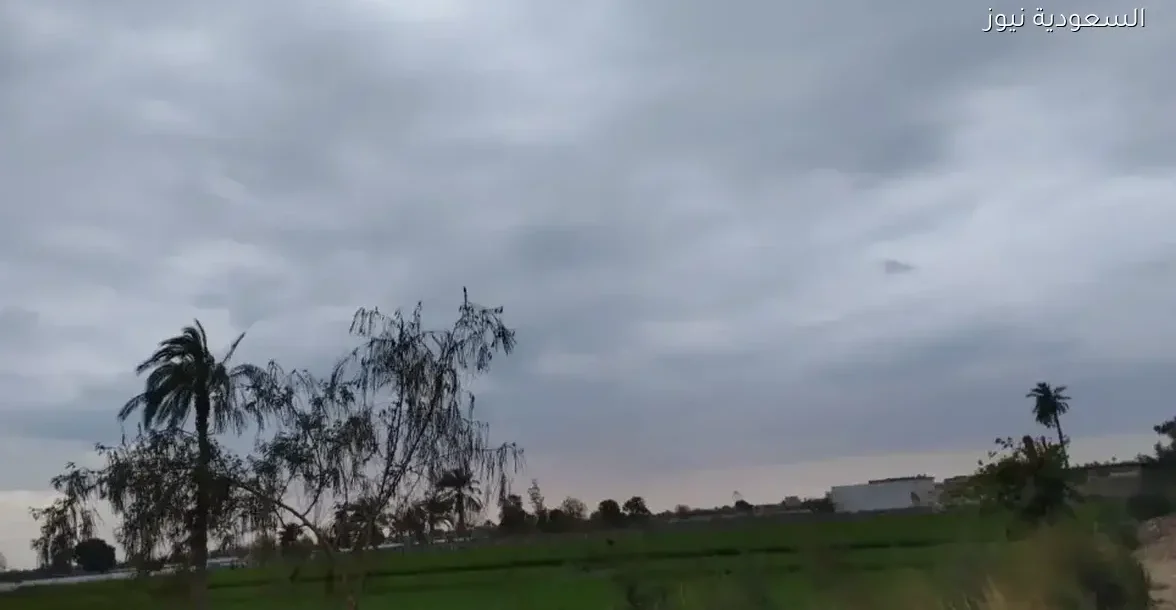 استعد لأولى ليالي الشتاء مع انخفاض الحرارة إلى 5 درجات