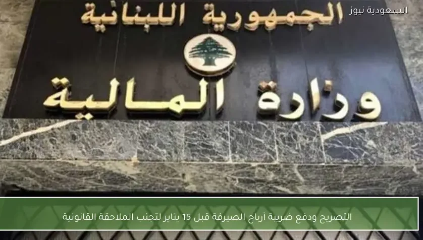 التصريح ودفع ضريبة أرباح الصيرفة قبل 15 يناير لتجنب الملاحقة القانونية