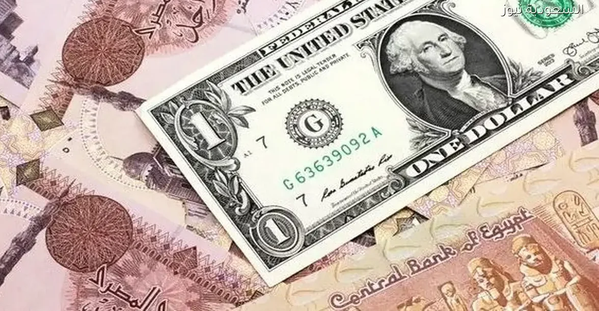 الجنيه المصري ينخفض والدولار يرتفع بشكل مستمر