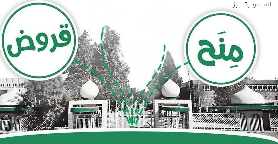 الحكومة تعلن تفاصيل جديدة عن القروض والمنح الجامعية