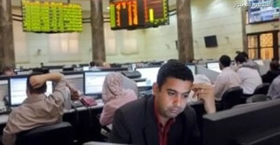 ترتيب شركات البورصة: ثاندر تتصدر وهيرميس ومباشر في المراكز التالية