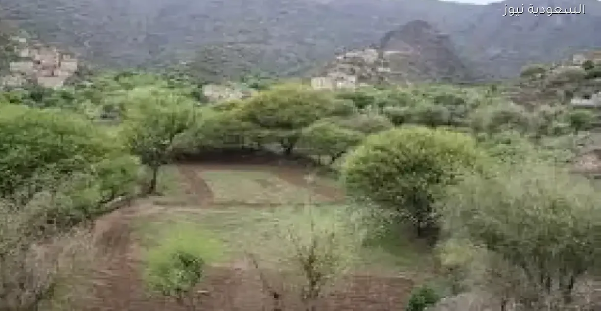 جريمة قتل مروعة لشاب سعى وراء رزقه في تعز