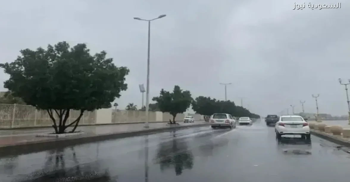 طقس الدمام اليوم: تأثير درجات الحرارة على عطلتك وكيف تستمتع بها