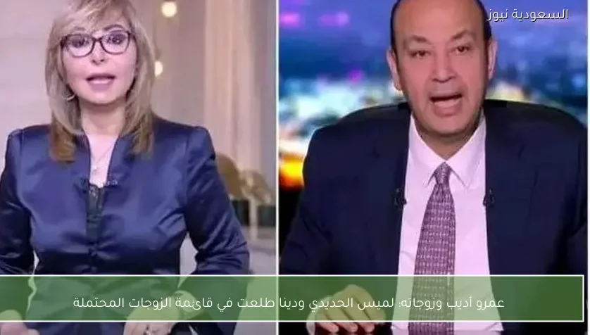 عمرو أديب وزوجاته: لميس الحديدي ودينا طلعت في قائمة الزوجات المحتملة