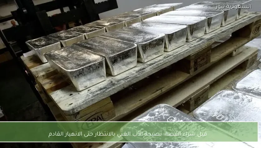 قبل شراء الفضة: نصيحة الأب الغني بالانتظار حتى الانهيار القادم