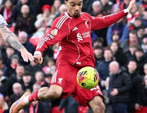 ليفربول يتقدم على برايتون في الشوط الأول بالدوري الإنجليزي بهدف رائع