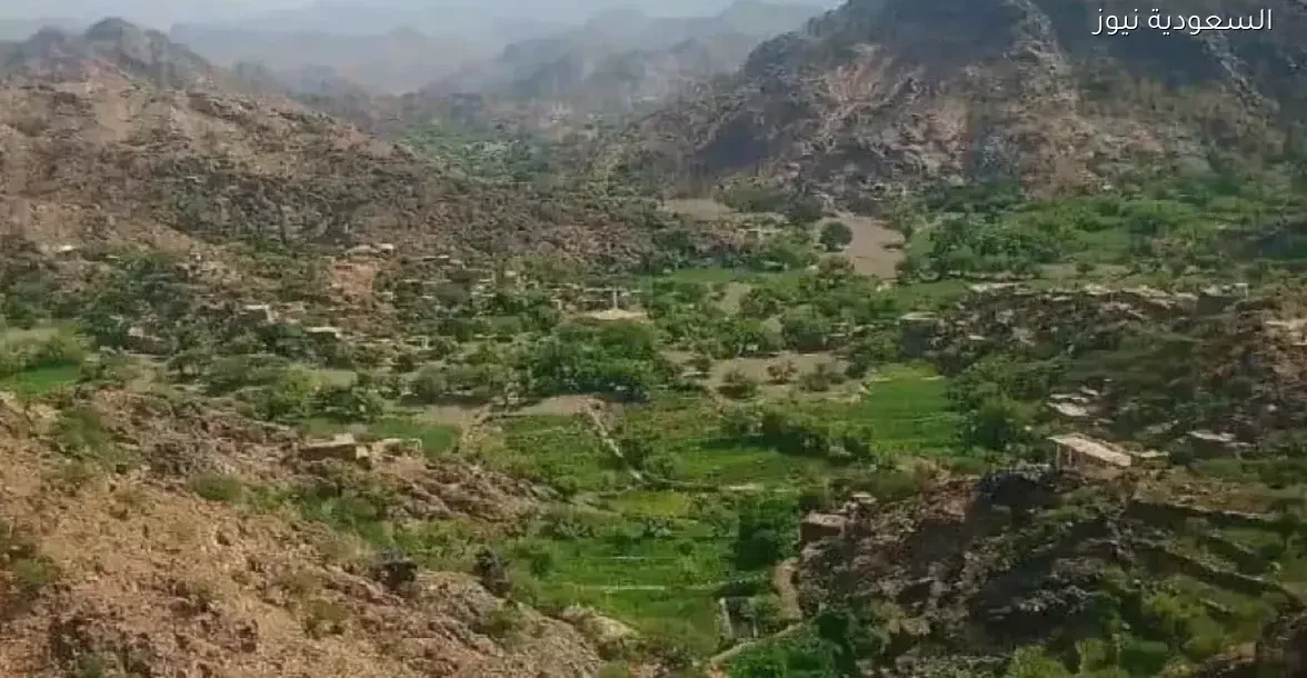 هجوم حوثي يستهدف مناطق جديدة في جنوب اليمن