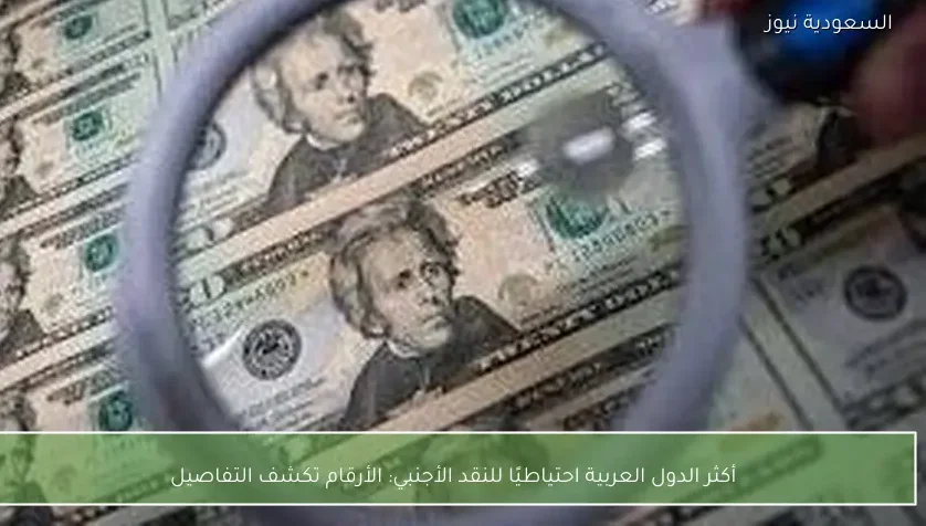 أكثر الدول العربية احتياطيًا للنقد الأجنبي: الأرقام تكشف التفاصيل