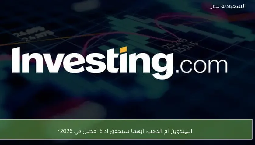 البيتكوين أم الذهب: أيهما سيحقق أداءً أفضل في 2026؟
