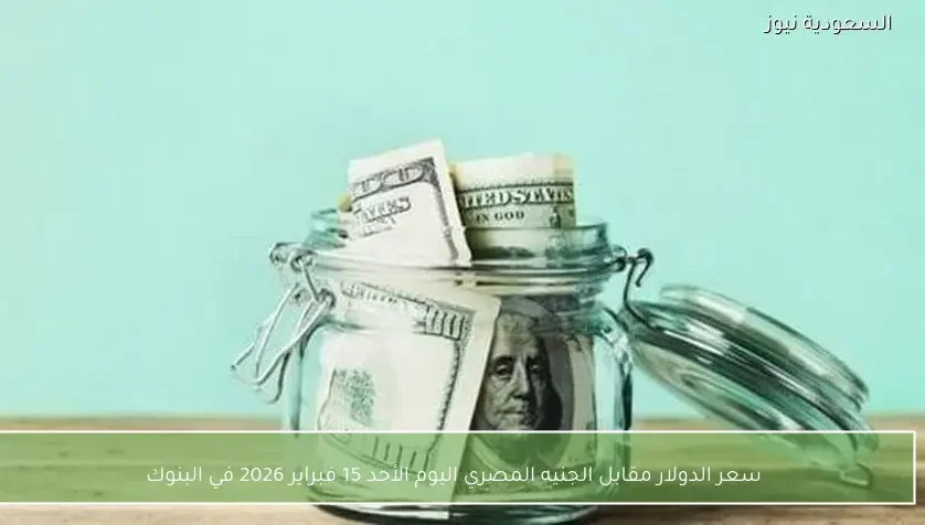سعر الدولار مقابل الجنيه المصري اليوم الأحد 15 فبراير 2026 في البنوك