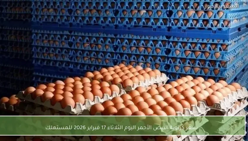 سعر كرتونة البيض الأحمر اليوم الثلاثاء 17 فبراير 2026 للمستهلك