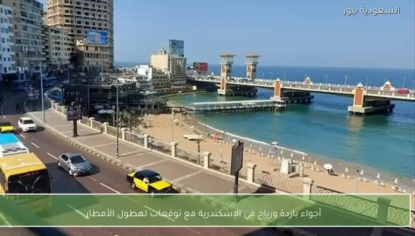 أجواء باردة ورياح في الإسكندرية مع توقعات لهطول الأمطار