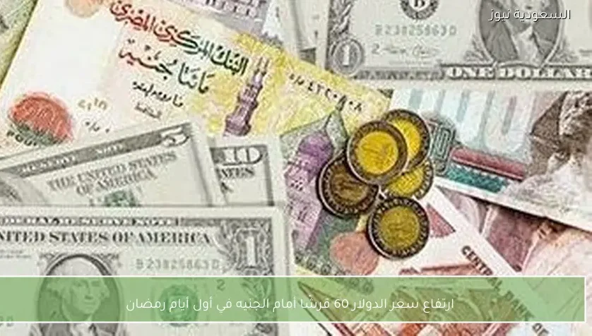ارتفاع سعر الدولار 60 قرشًا أمام الجنيه في أول أيام رمضان