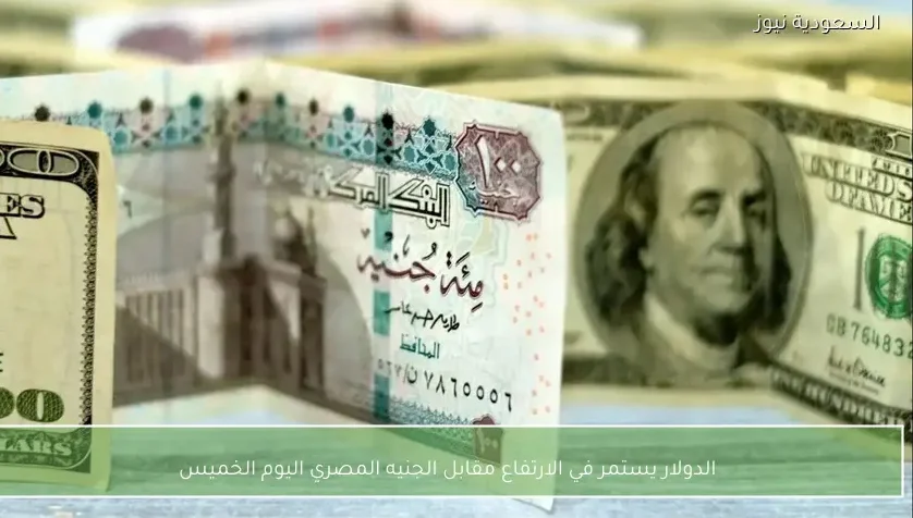 الدولار يستمر في الارتفاع مقابل الجنيه المصري اليوم الخميس