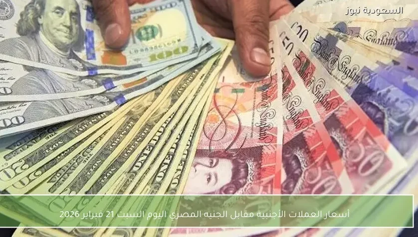 أسعار العملات الأجنبية مقابل الجنيه المصري اليوم السبت 21 فبراير 2026