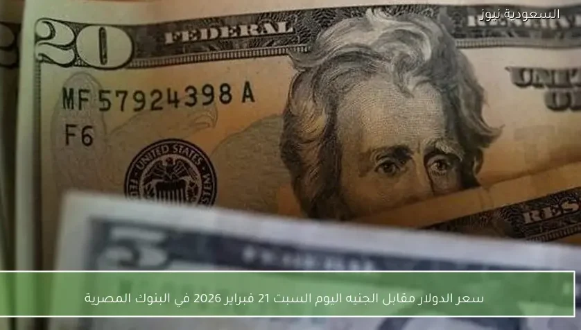 سعر الدولار مقابل الجنيه اليوم السبت 21 فبراير 2026 في البنوك المصرية