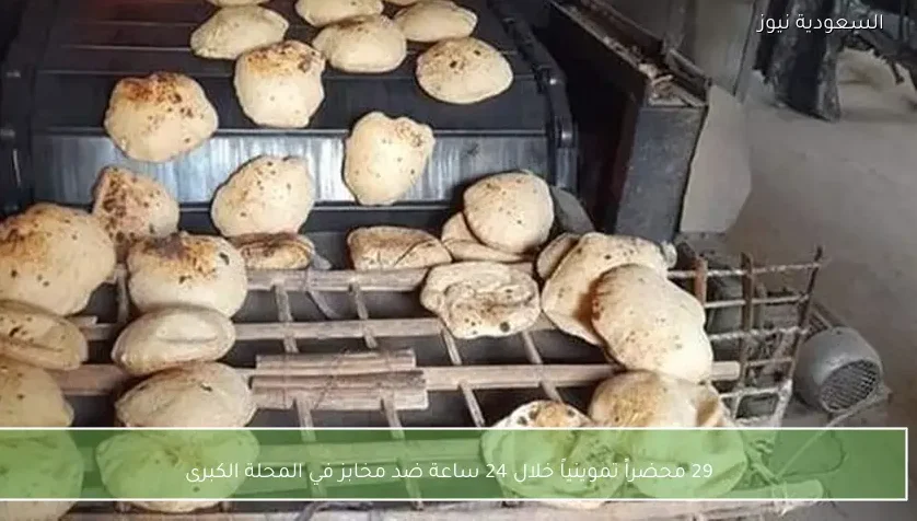 29 محضراً تموينياً خلال 24 ساعة ضد مخابز في المحلة الكبرى