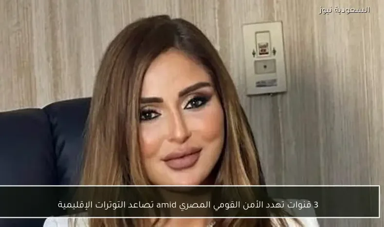 3 قنوات تهدد الأمن القومي المصري amid تصاعد التوترات الإقليمية