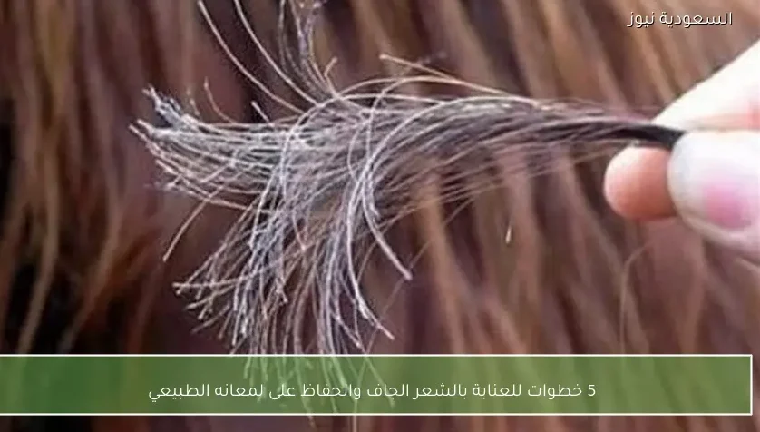 5 خطوات للعناية بالشعر الجاف والحفاظ على لمعانه الطبيعي