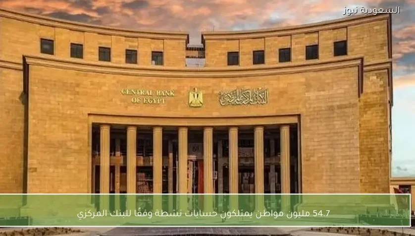 54.7 مليون مواطن يمتلكون حسابات نشطة وفقًا للبنك المركزي