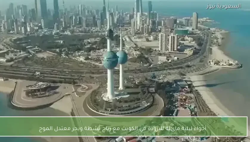 أجواء ليلية مائلة للبرودة في الكويت مع رياح نشطة وبحر معتدل الموج