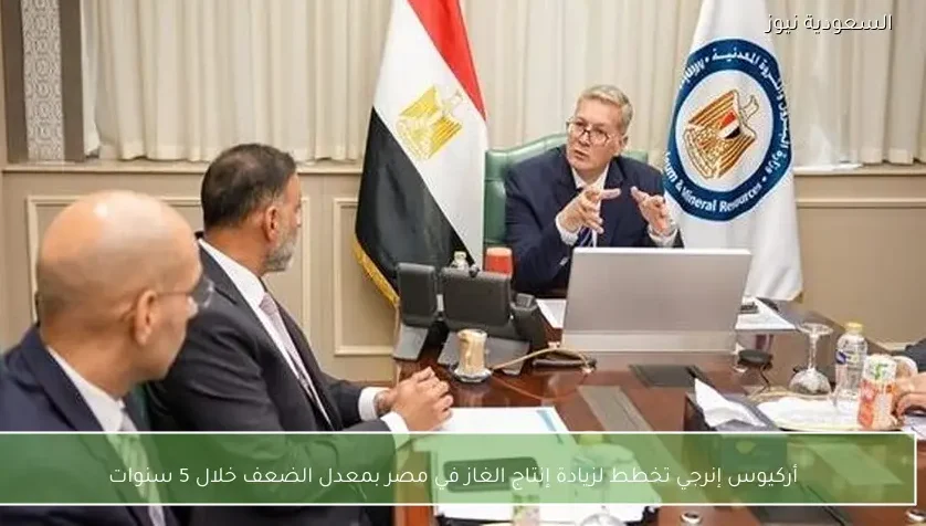 أركيوس إنرجي تخطط لزيادة إنتاج الغاز في مصر بمعدل الضعف خلال 5 سنوات