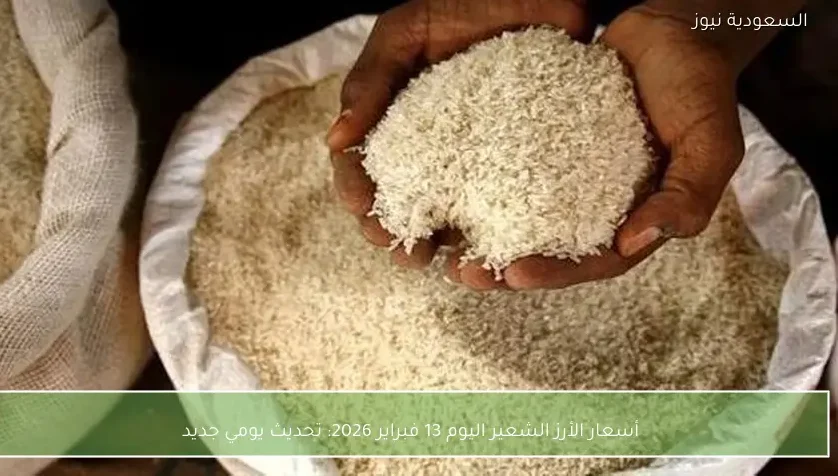 أسعار الأرز الشعير اليوم 13 فبراير 2026: تحديث يومي جديد