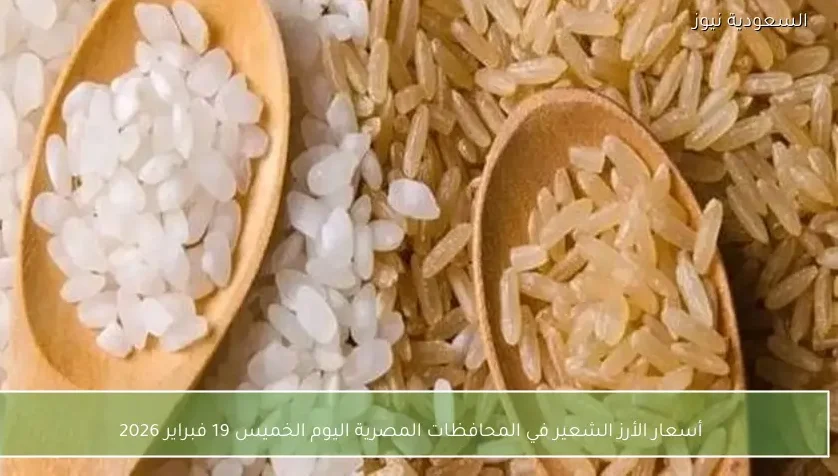 أسعار الأرز الشعير في المحافظات المصرية اليوم الخميس 19 فبراير 2026