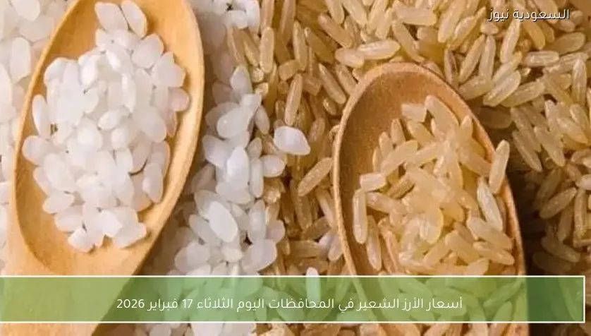 أسعار الأرز الشعير في المحافظات اليوم الثلاثاء 17 فبراير 2026