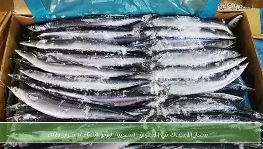 أسعار الأسماك في الأسواق الشعبية اليوم الثلاثاء 17 فبراير 2026