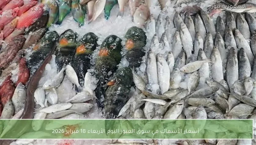 أسعار الأسماك في سوق العبور اليوم الأربعاء 18 فبراير 2026
