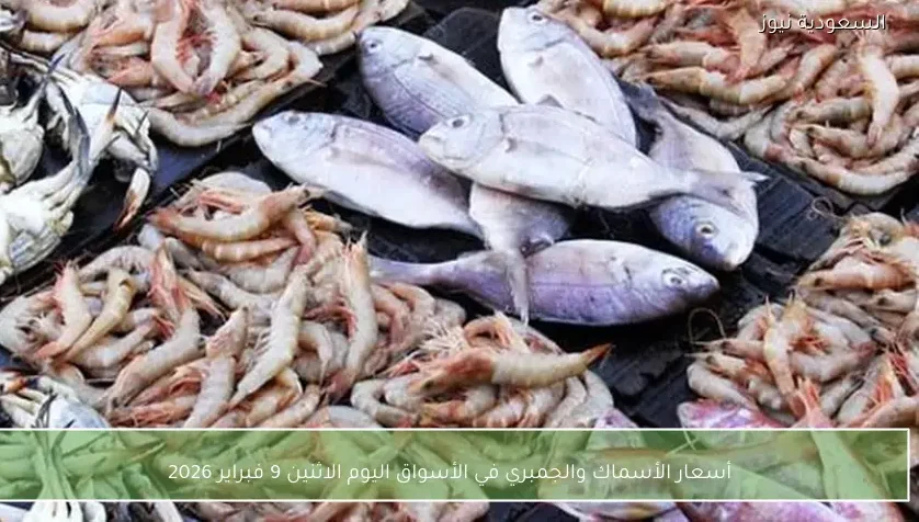 أسعار الأسماك والجمبري في الأسواق اليوم الاثنين 9 فبراير 2026