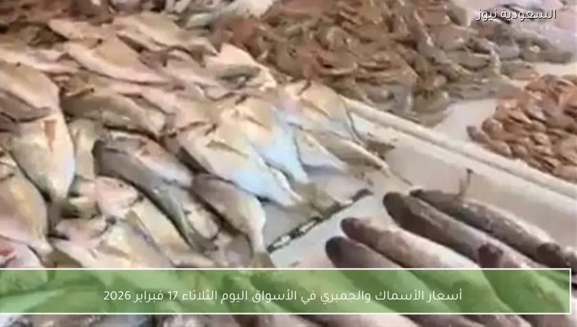 أسعار الأسماك والجمبري في الأسواق اليوم الثلاثاء 17 فبراير 2026