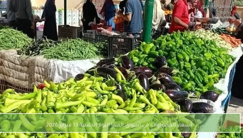 أسعار الخضراوات في أسواق المنيا اليوم الجمعة 13 فبراير 2026