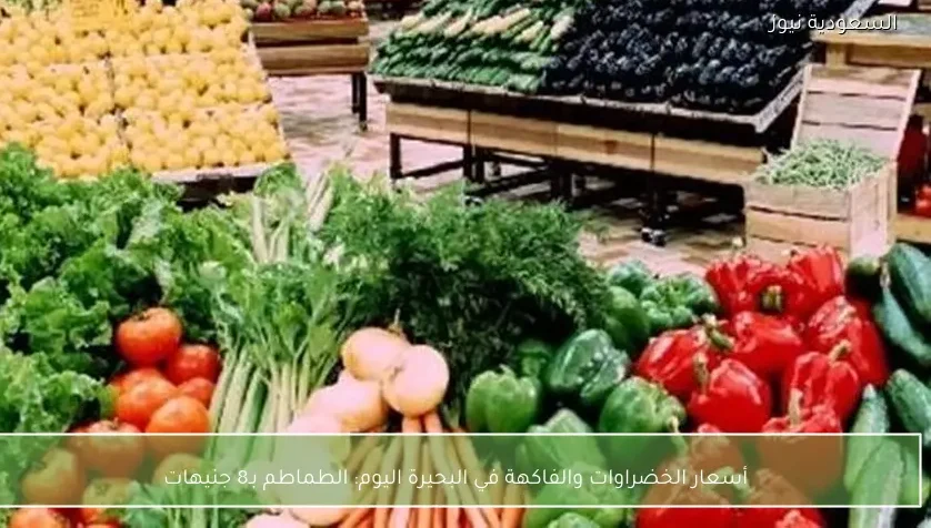 أسعار الخضراوات والفاكهة في البحيرة اليوم: الطماطم بـ8 جنيهات
