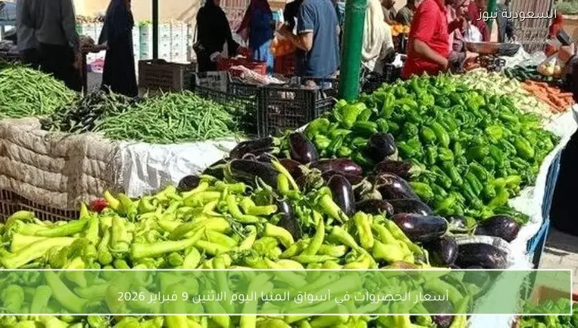 أسعار الخضروات في أسواق المنيا اليوم الاثنين 9 فبراير 2026