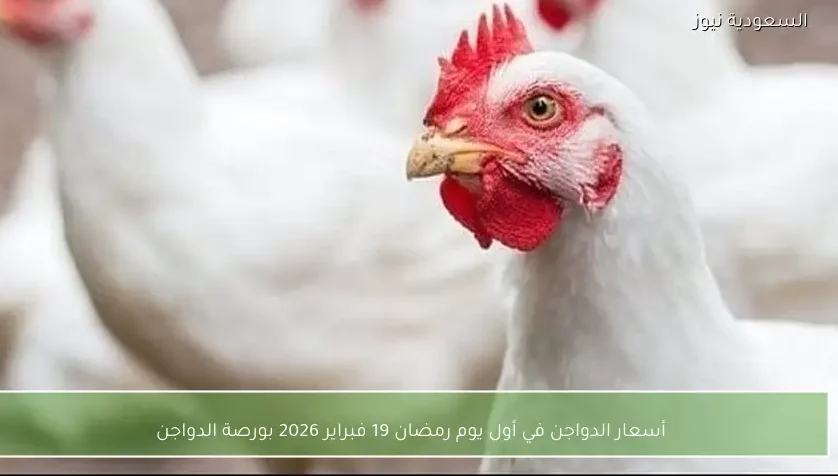 أسعار الدواجن في أول يوم رمضان 19 فبراير 2026 بورصة الدواجن