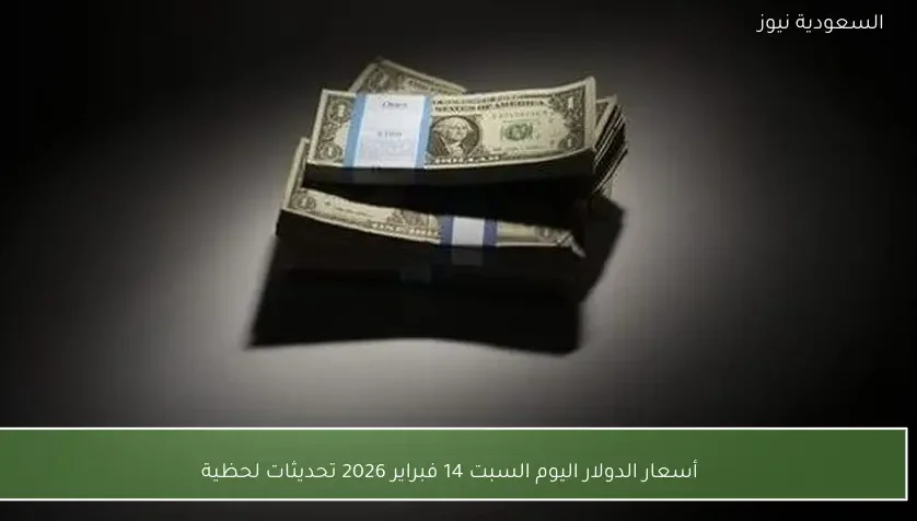 أسعار الدولار اليوم السبت 14 فبراير 2026 تحديثات لحظية
