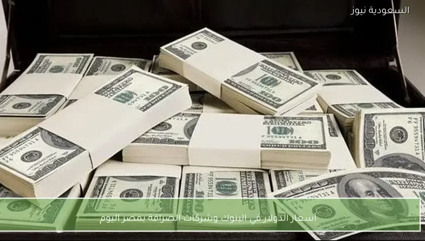 أسعار الدولار في البنوك وشركات الصرافة بمصر اليوم