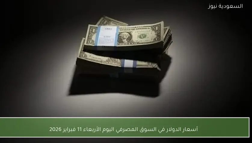 أسعار الدولار في السوق المصرفي اليوم الأربعاء 11 فبراير 2026